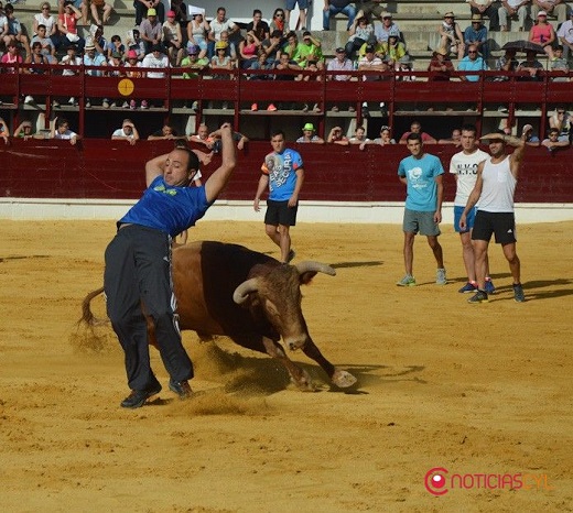 Medina del Campo "expone" su tradición taurina en las Fiestas