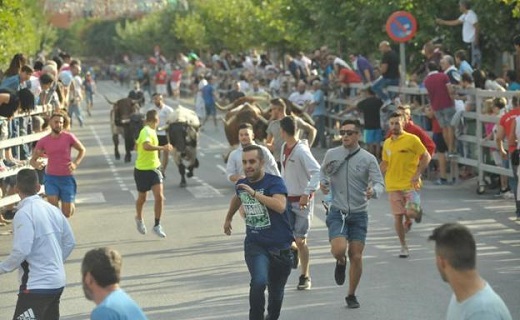 Primer encierro de las fiestas de Medina del Campo. / RODRIGO JIMÉNEZ