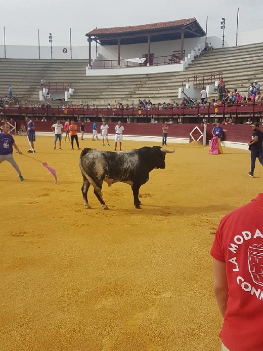 Cornicorto llegando al Coso del Arrabal