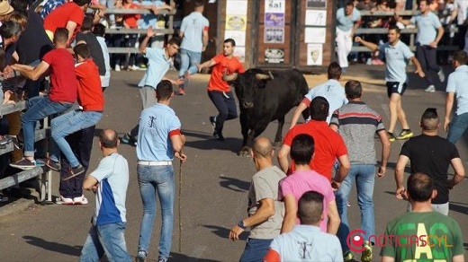 Uno de los toros al comienzo del recorrido (Fotos: Juanes).