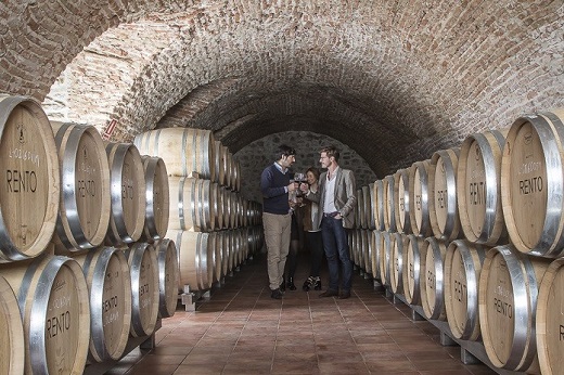 Foto: Bodegas Matarromera.