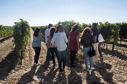 La Semana Santa más enoturística se da cita en la Ruta del Vino de Rueda