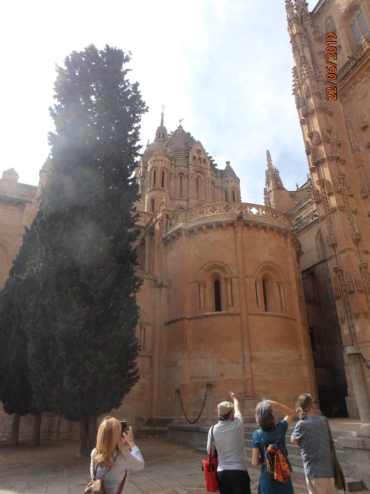 Excursión a Salamanca en día 22 de junio de 2019 - REGRESAMOS