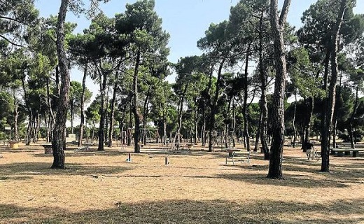 Hace dos meses rompieron el 40% de las farolas de la zona recreativa de Las Salinas de Medina. /