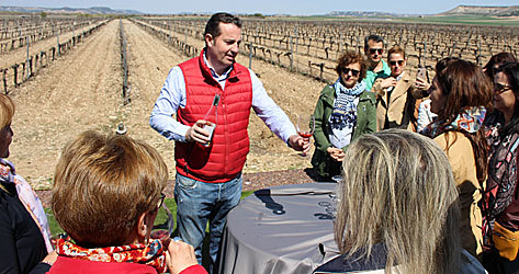 Cata de vinos en Concejo Bodegas, en la D.O. Cigales.