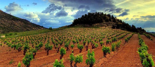 Rueda, una de las zonas más potentes en enoturismo.