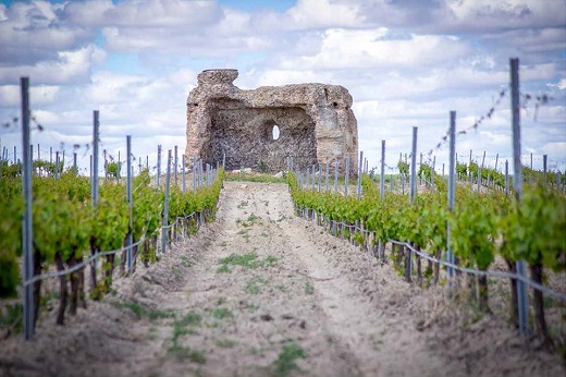 2 premio: torreón y viñedo: Carmen Núñez Martin