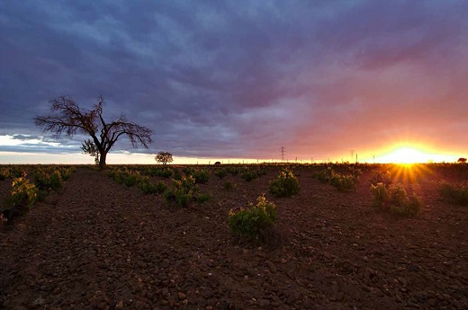 3 premio: atardecer: Roberto Revuelta Buenaposada