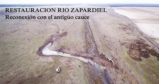 Restauración rio Zapardiel. Reconexión con el antigüo cauce.
