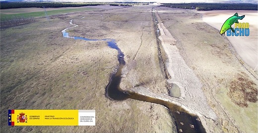 Restauración rio Zapardiel. Reconexión con el antigüo cauce.
