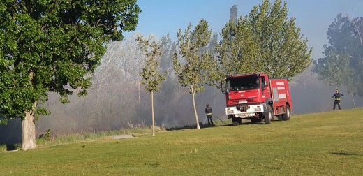 El incendio de la ribera del Zapardiel dañó mil metros cuadrados de vegetación.