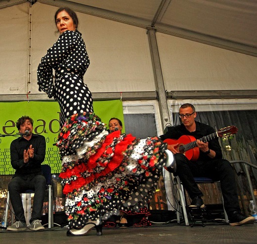 41ª Muestra Flamenca de Medina del Campo.