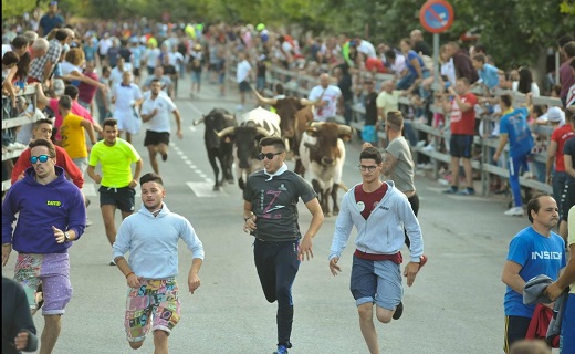 Encierro en las fiestas de Medina del Campo el año pasado.