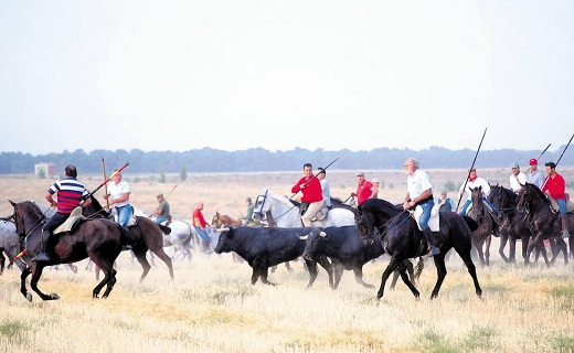 Ferias y Fiestas de San Antolin 2018 en Medina del Campo, Valladolid.