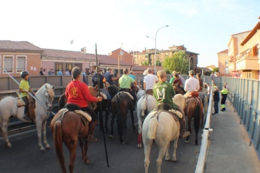 Medina del Campo: El «Encierro de Cabestros» estrena el corral del recorrido urbano.