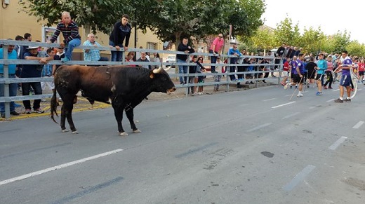 Tercer encierro en las fiestas de Medina del Campo 2018. Foto Silvia Rodríguez