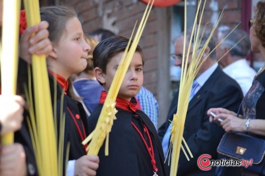 14 de Abril, Domingo de Ramos. Procesión de la Borriquilla en Medina del Campo