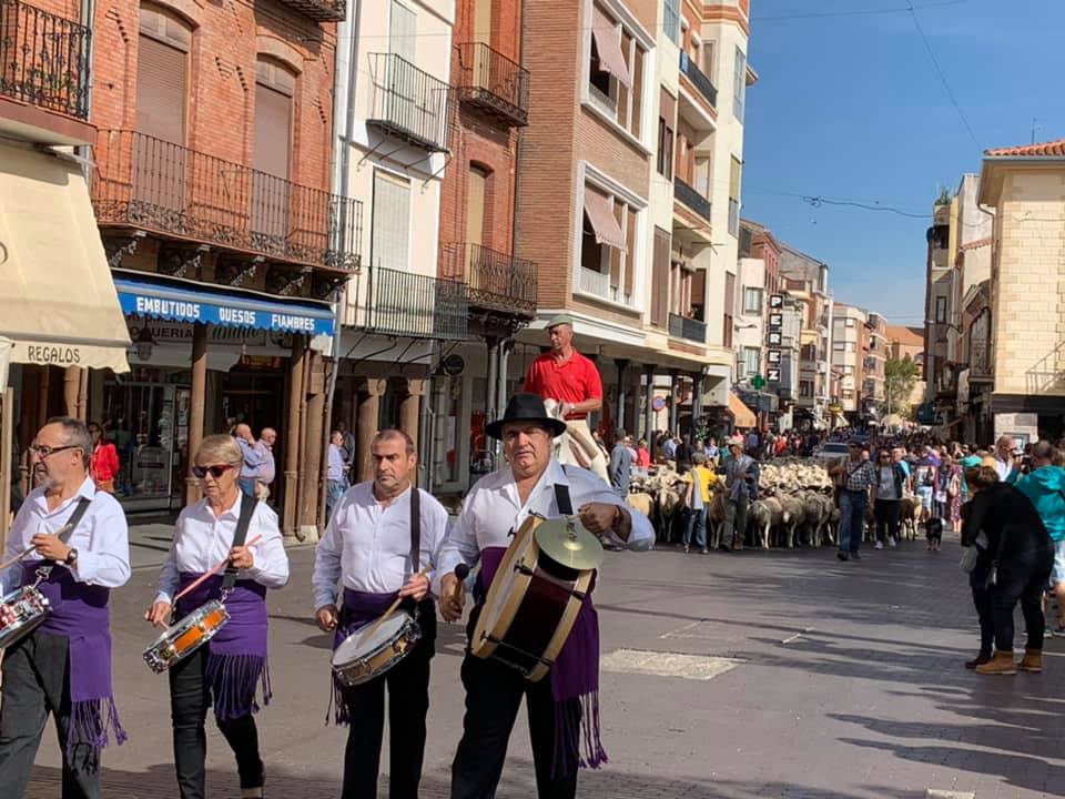 Vuelve la trashumancia a Medina del Campo. Reportaje fotográfico de la inauguradas VII Jornadas de la Trashumancia y Comercio de Lana en Medina del Campo. (REGRESAMOS)