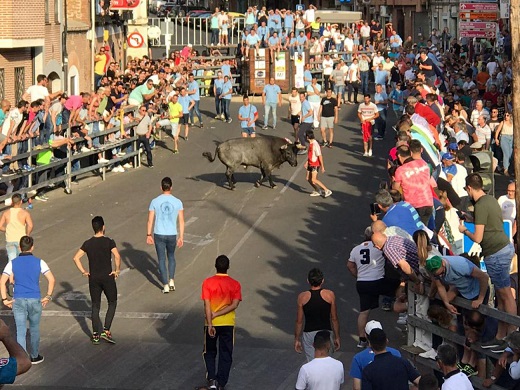 Uno de los astados atraviesa la Calle Artillería / Cadena SER