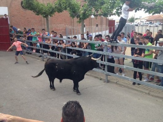 Celebración del Toro de la Feria en la novena edición