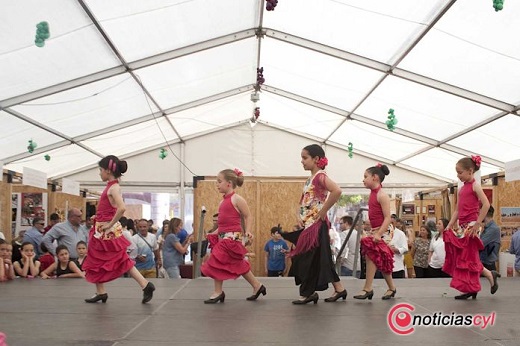 Toro de Feria 2019