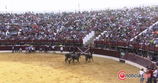 Toro de Feria 2019