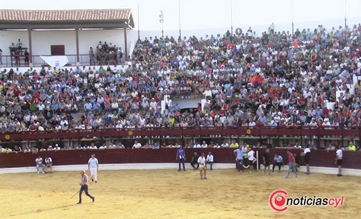 Toro de Feria 2019