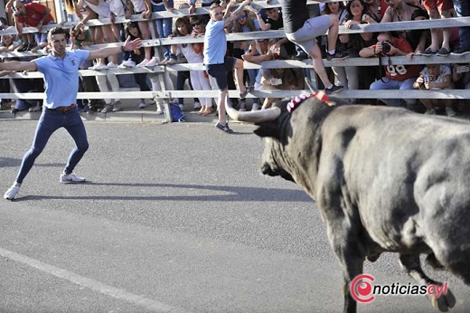 Toro de Feria 2019