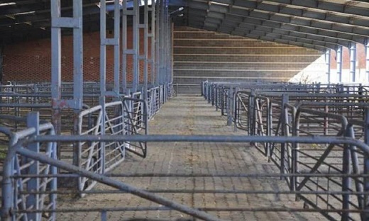 La venta de las teleras del mercado de ganados es objeto de una comisión de investigación / Cadena SER