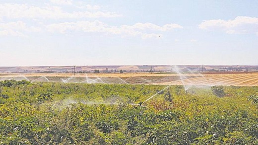 Una explotación agraria de Cantalpino que usa el agua de riego de una extracción subterránea | TRISOL