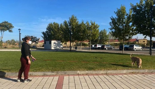 Con las restricciones en Medina, el Ayuntamiento potencia el voluntariado para personas confinadas.