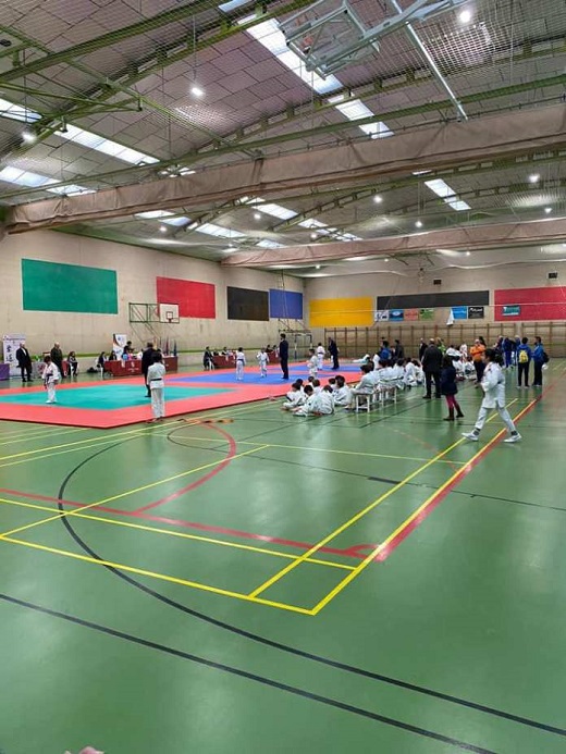 Éxito rotundo en el Campeonato de Judo de Medina del Campo.