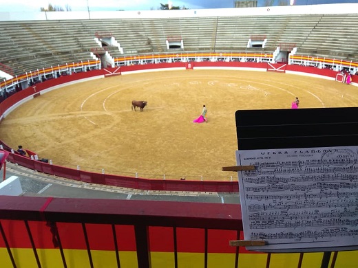 Un pequeño resumen fotográfico de la Banda Municipal de Música de Medina del Campo de lo que han sido para nosotros las dos tardes de novilladas 