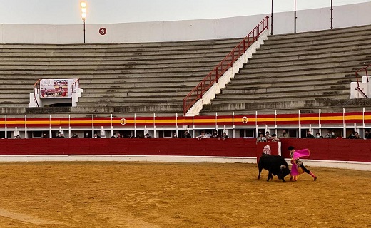 Novillada celebrada este fin de semana en Medina. /
P. G.