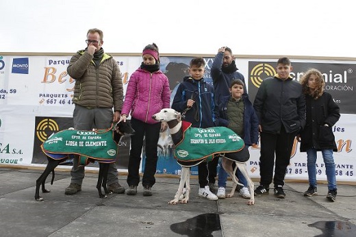 Presentación de los galgos finalistas