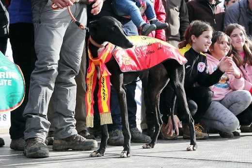 CAMPEONA DE ESPAÑA: LIOSA DE CLEMENTE