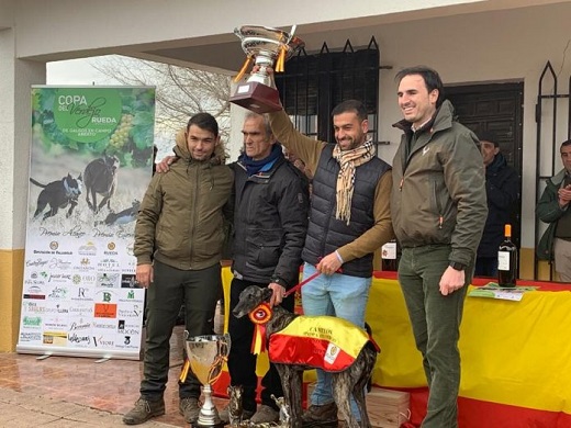 La galga de Nava del Rey ha sido ganadora de la III Copa del Verdejo