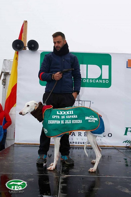 Los finalistas: ESCORPIÓN DE JULIO HERRERA: