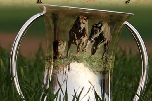 La FCLG suspende las previas del LXXXIII Campeonato de España de Galgos en Campo