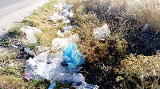 Zona del Cordel, los Bartillos de Medina del Campo