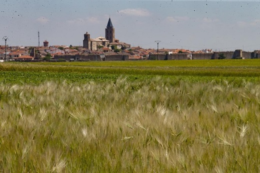 Madrigal de las Altas Torres