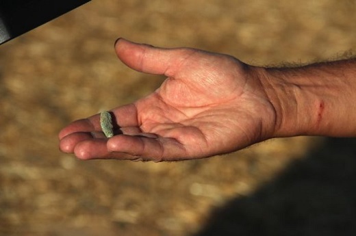 Esperanza ante el hallazgo de una bala de mauser en la excavación ‘El Pozo’.