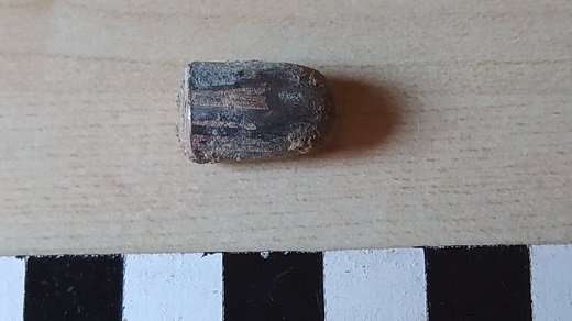 Una de las balas que se han encontrado en la excavación. ARMH Valladolid