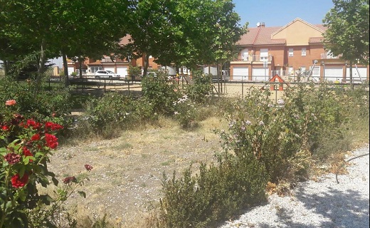 Jardines en mal estado en la urbanización Altos de Casttilla de Medina del Campo. /