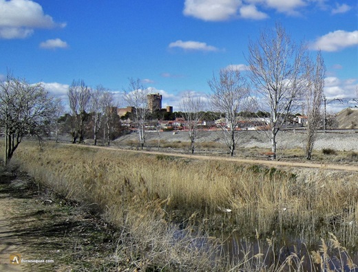 El Zapardiel acercándose a Medina del Campo