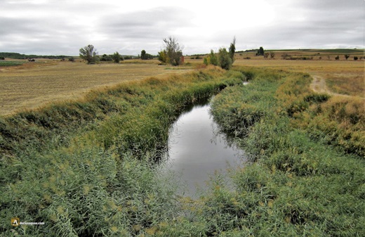 Río Zapardiel en un momento de lucidez, aguas abajo de Medina