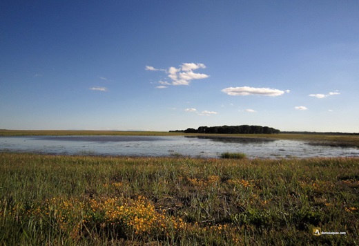 Lagunas Reales en Medina del Campo