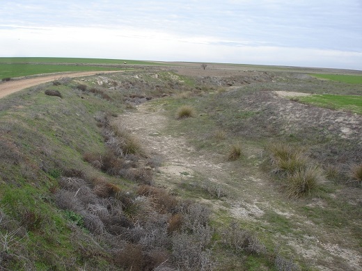 Río Zapardiel. - Foto: Ical