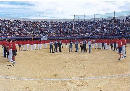 Plaza de Toros de Medina del Campo durante la celebración de uno de los memoriales José María de la Fuente "Pinturas" - Premio Nacional de Cortes de Novillos