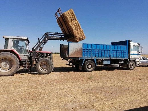 Agricultores y panaderos de la comarca medinense ayudan a los ganaderos abulenses / Cadena Ser